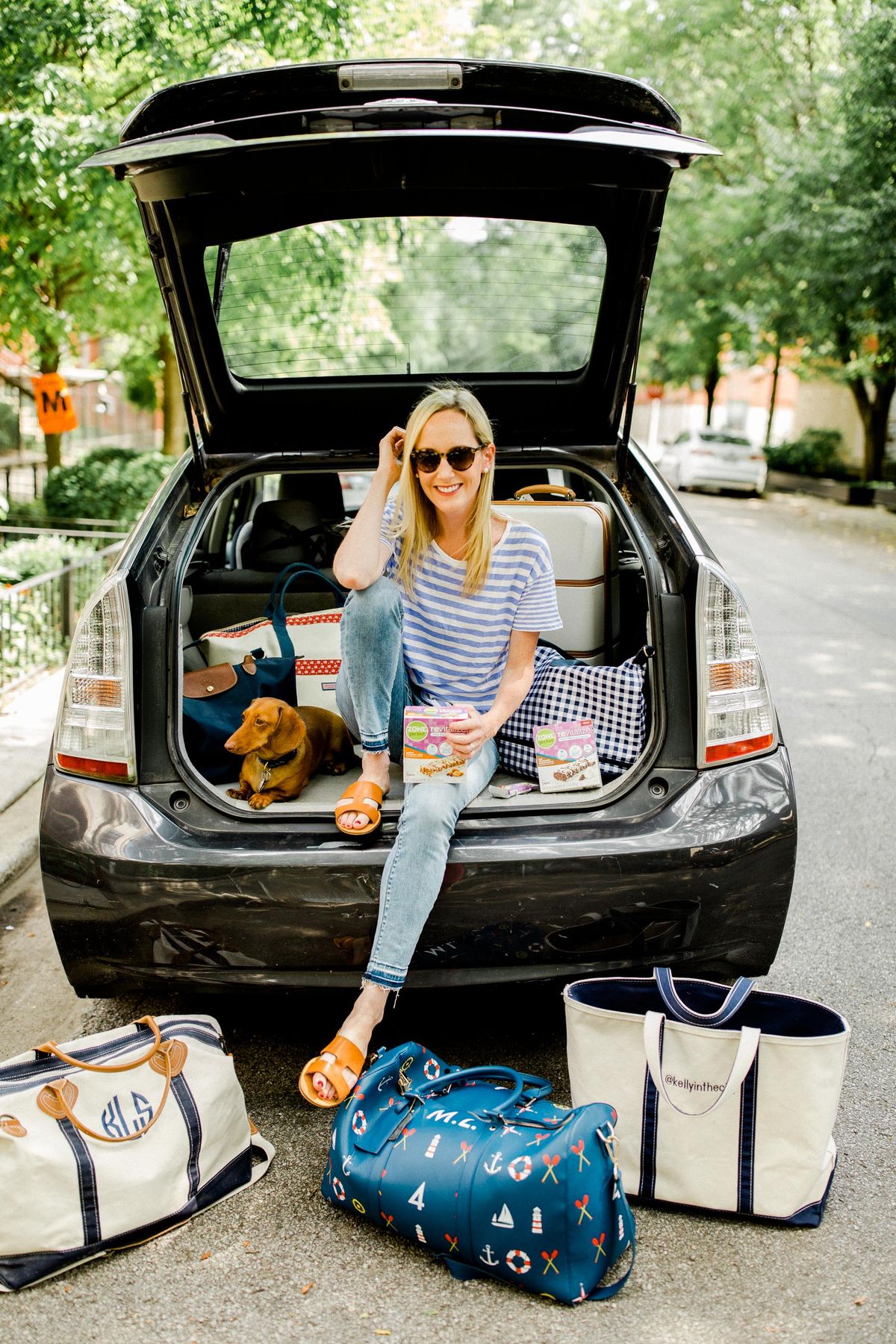 Trip Car Rental